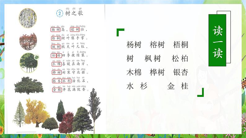 识字2《树之歌》（课件）二年级语文上册部编版03