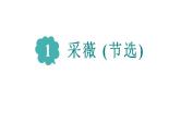 古诗词诵读1《采薇（节选）》（课件）部编版语文六年级下册