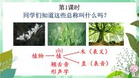 小学语文人教部编版二年级上册3 植物妈妈有办法备课ppt课件