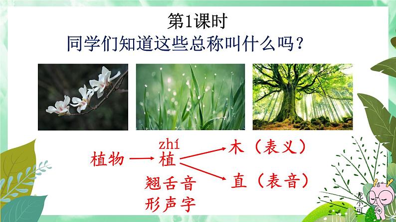 3 植物妈妈有办法新课件PPT第1页