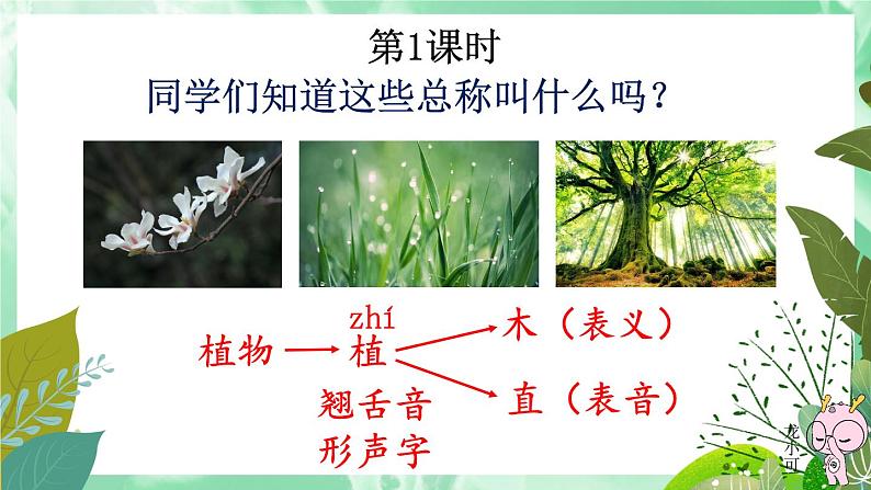 3 植物妈妈有办法   改进课件PPT第1页