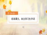 部编版语文三年级上册第5课《铺满金色巴掌的水泥道》（两课时）（教学课件+教案+练习+导学案）