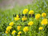 部编版语文三年级上册第16课《金色的草地》（两课时）（课件+教案+练习+导学案）