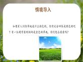 部编版语文三年级上册第16课《金色的草地》（两课时）（课件+教案+练习+导学案）