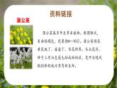部编版语文三年级上册第16课《金色的草地》（两课时）（课件+教案+练习+导学案）