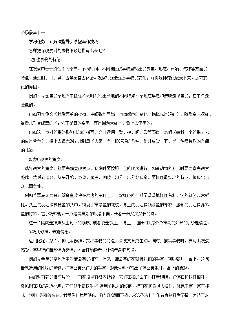 部编版语文三年级上册第五单元 《习作：我们眼中的缤纷世界》（课件+教案+练习+导学案）02