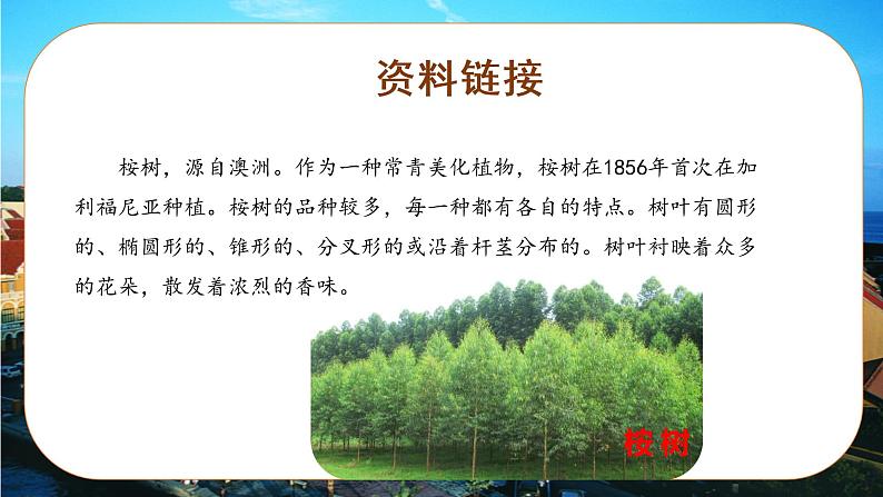 部编版语文三年级上册第19课《海滨小城》（两课时）（课件+教案+练习+导学案）05