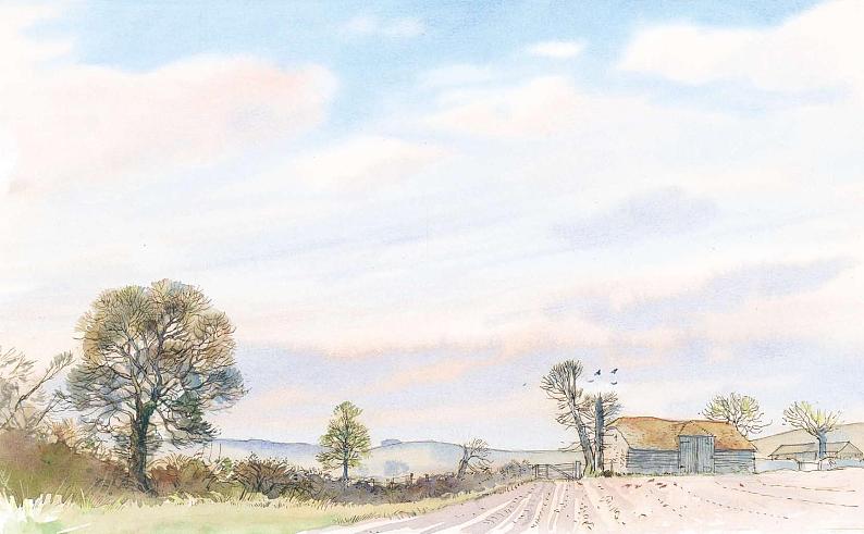 绘本故事-生长在春天01