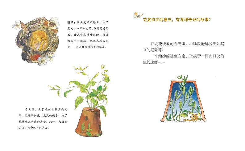 绘本故事-生长在春天02