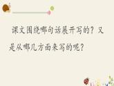23《海底世界》（课件）部编版语文三年级下册