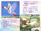 人教部编版语文六年级下册 第二单元 6 骑鹅旅行记（节选） 课件
