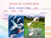 人教部编版语文六年级下册 第二单元 6 骑鹅旅行记（节选） 课件