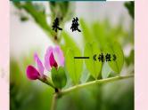 人教部编版语文六年级下册 古诗词诵读 1 采薇（节选）课件