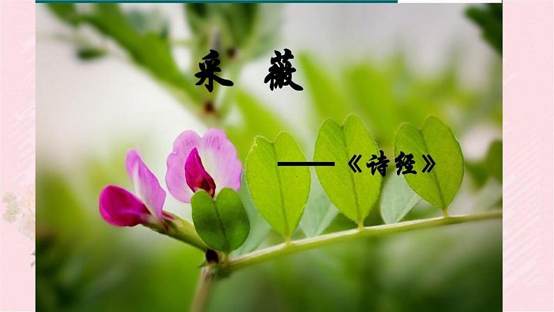 人教部编版语文六年级下册 古诗词诵读 1 采薇（节选）课件02