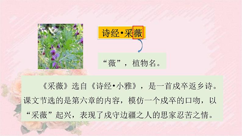 人教部编版语文六年级下册 古诗词诵读 1 采薇（节选）课件04