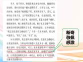 人教部編版語文六年級下冊 第三單元 習(xí)作例文 陽光的兩種用法 課件