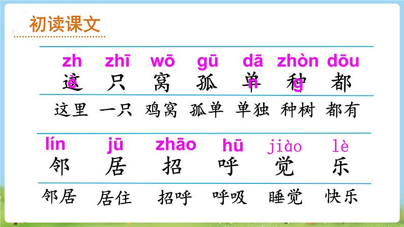 人教语文一下 第3单元 5 树和喜鹊 PPT课件06