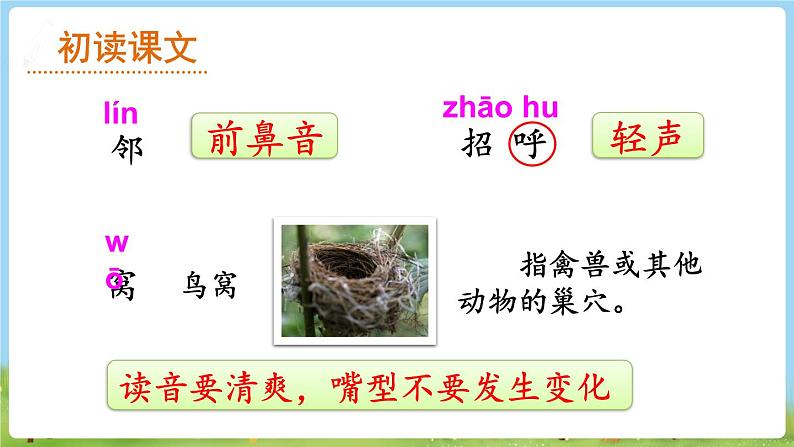 人教语文一下 第3单元 5 树和喜鹊 PPT课件07