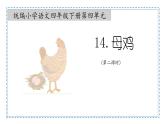 第14课《母鸡》第二课时 课件-2022-2023学年语文四年级下册（部编版）