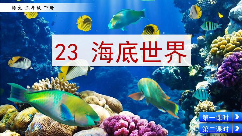 23 海底世界课件PPT第2页