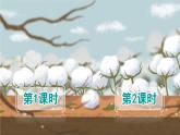 人教语文一下 第8单元 18 棉花姑娘 PPT课件