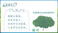 小学人教部编版课文 412 荷叶圆圆教学演示ppt课件