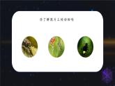 四年级语文上册部编版第6课《夜间飞行的秘密》第一课时（课件+教案+学案+练习）