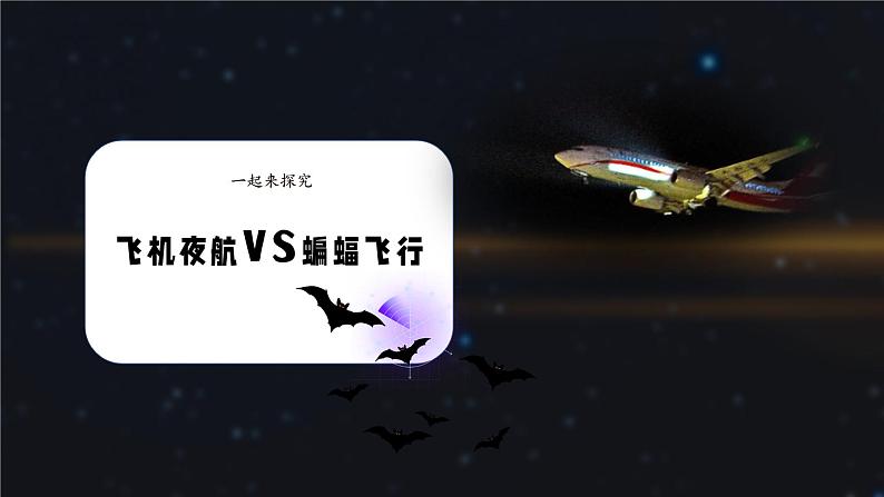 四年级语文上册部编版第6课《夜间飞行的秘密》第一课时（课件+教案+学案+练习）04