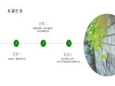 四年级语文上册部编版第10课·爬山虎的脚·第一课时（教学课件+教案+学案+练习）