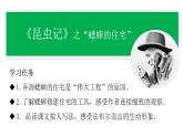 四年级语文上册部编版第11课·蟋蟀的住宅·第二课时（教学课件+教案+学案+练习）