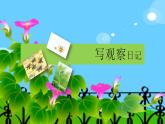 四年级语文上册部编版第三单元习作·写观察日记（教学课件+教案+学案+练习）