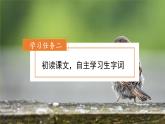 四年级语文上册部编版第16课《麻雀》（第一课时）（课件+教案+学案+练习）四年级语文上册 部编版