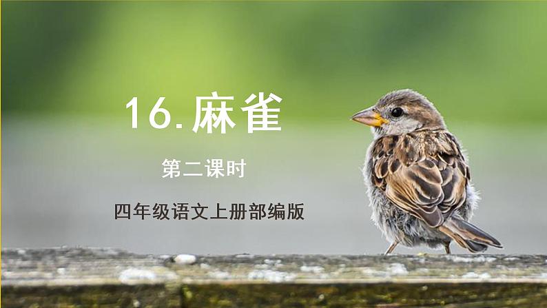 四年级语文上册部编版第16课《麻雀》（第二课时）（课件+教案+学案+练习）四年级语文上册 部编版01