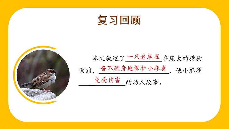 四年级语文上册部编版第16课《麻雀》（第二课时）（课件+教案+学案+练习）四年级语文上册 部编版02