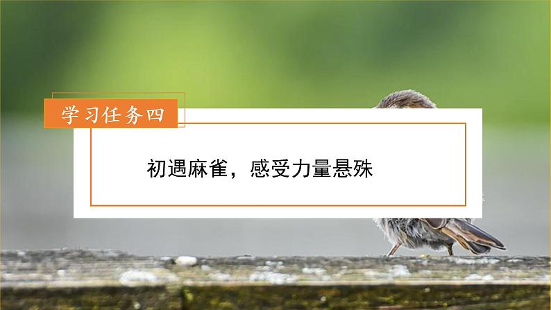 四年级语文上册部编版第16课《麻雀》（第二课时）（课件+教案+学案+练习）四年级语文上册 部编版03