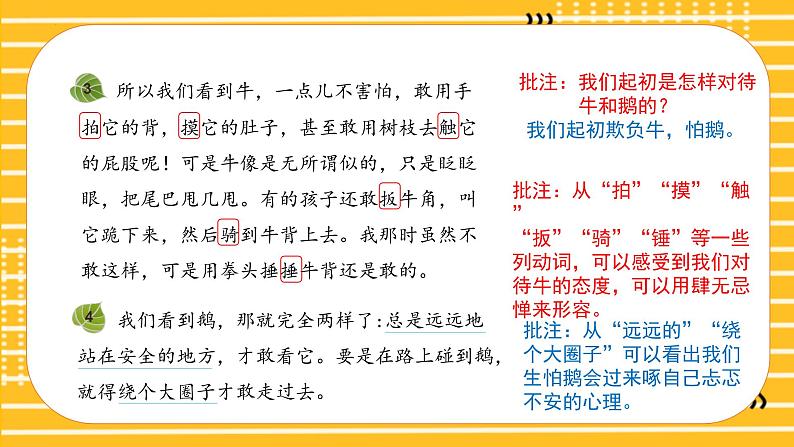 四年级语文上册部编版第18课《牛和鹅》（第二课时）（课件+教案+学案+练习）四年级语文上册 部编版06