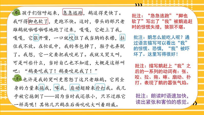 四年级语文上册部编版第18课《牛和鹅》（第二课时）（课件+教案+学案+练习）四年级语文上册 部编版08
