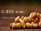 五年级语文上册部编版第2课《落花生》第二课时（课件+教案+学案+练习）