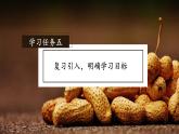 五年级语文上册部编版第2课《落花生》第二课时（课件+教案+学案+练习）
