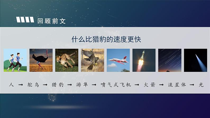 五年级语文上册部编版第7课《什么比猎豹的速度更快》第二课时（课件+教案+学案+练习）02