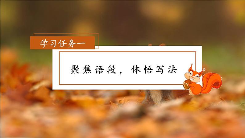 五年级语文上册部编版第17课《松鼠》第二课时（课件+教案+学案+练习）02