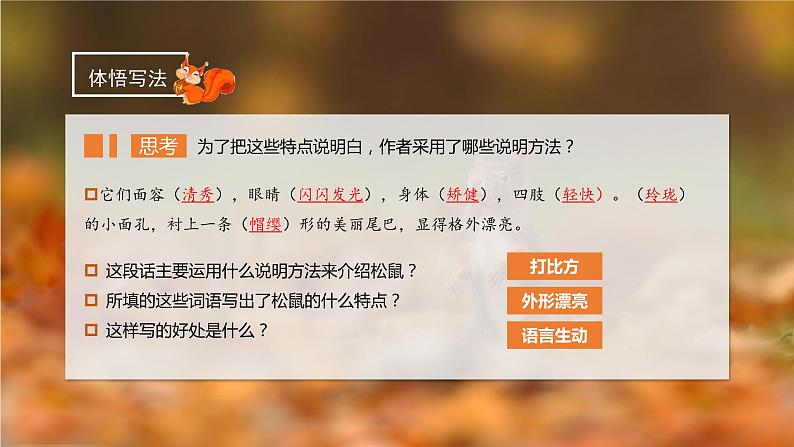 五年级语文上册部编版第17课《松鼠》第二课时（课件+教案+学案+练习）04