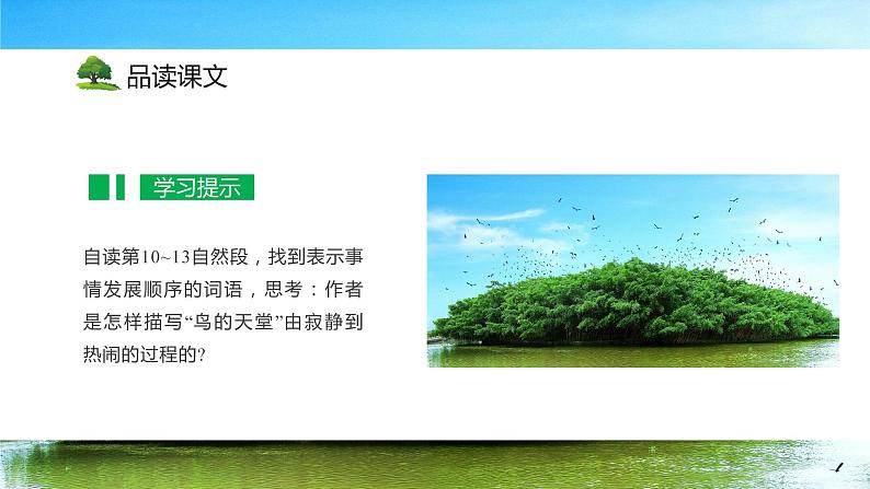五年级语文上册部编版第23课《鸟的天堂》第二课时（课件+教案+学案+练习）03
