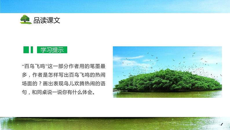 五年级语文上册部编版第23课《鸟的天堂》第二课时（课件+教案+学案+练习）05