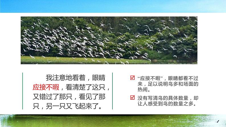 五年级语文上册部编版第23课《鸟的天堂》第二课时（课件+教案+学案+练习）07