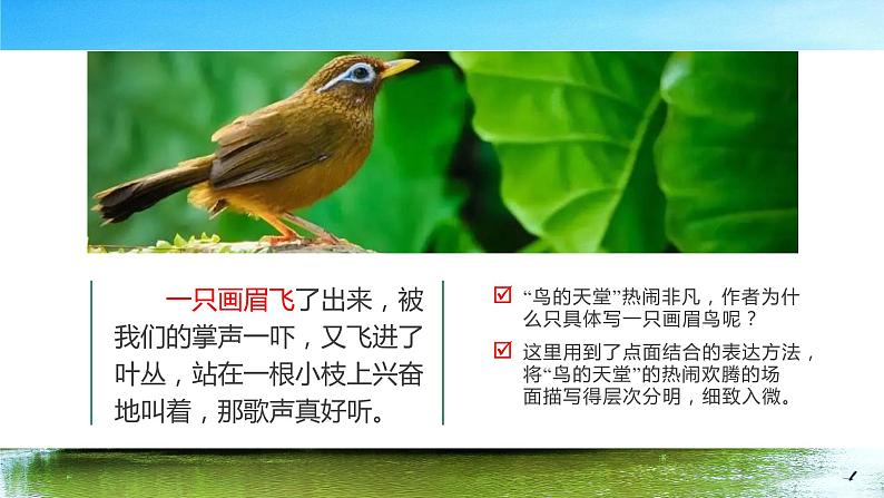 五年级语文上册部编版第23课《鸟的天堂》第二课时（课件+教案+学案+练习）08