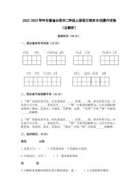 2022-2023学年安徽省合肥市二年级上册语文期末专项提升试卷（含解析）