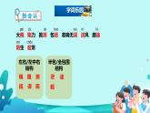14.《蜜蜂》课件(共两课时，PPT)