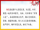 人教版语文五年级下册第一单元《梅花魂》课件