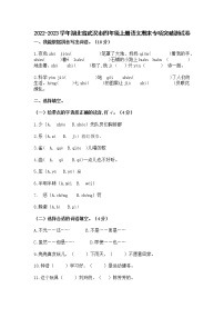 2022-2023学年湖北省武汉市四年级上册语文期末专项突破测试卷（含解析）